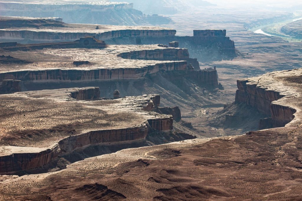 does canyonlands national park allow dogs